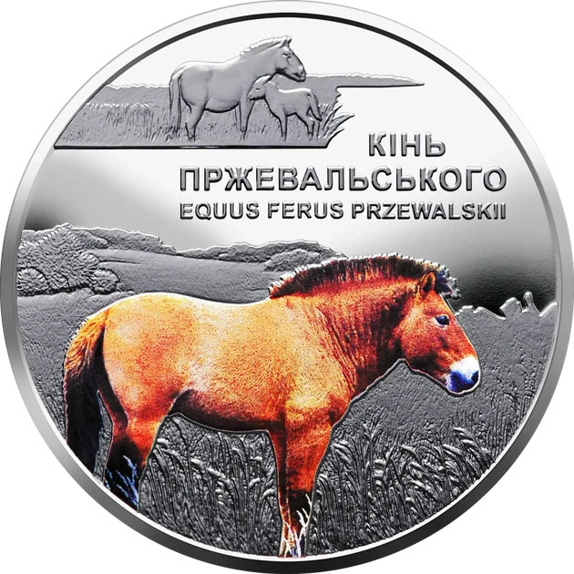 Кінь Пржевальського Чорнобиль Відродження 5 гривень 2021 рік Україна Колекційна монета НБУ (Банківський стан) - Фото 1 Кінь Пржевальського Чорнобиль Відродження 5 гривень 2021 рік Україна Колекційна монета НБУ (Банківський стан) - изображение 1