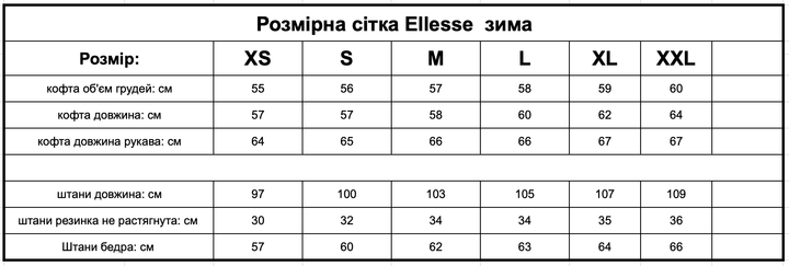 Зимовий чоловічий теплий спортивний костюм Ellesse світшот-штани, бордовий, розмір XS - изображение 2