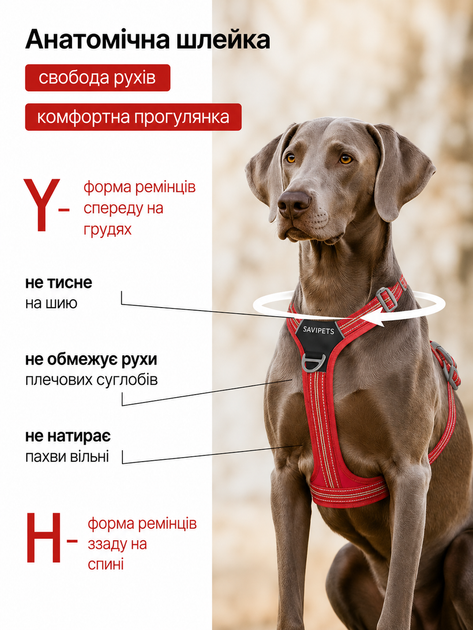 Шлея для собак Duomm No-Pull з повідцем, регульована та світловідбивна червоний, XL (294XL-RED) - Фото 5 Шлея для собак Duomm No-Pull з повідцем, регульована та світловідбивна червоний, XL (294XL-RED) - зображення 5