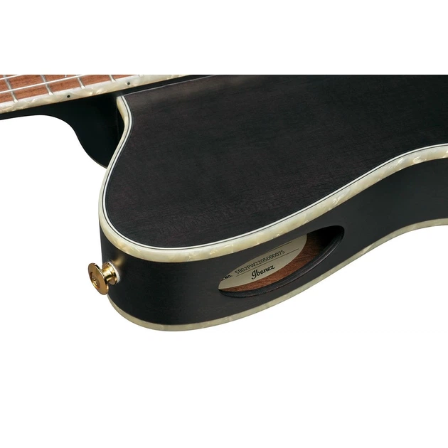 Класична гітара зі звукознімачем Ibanez TOD10N-BKF (234181) - зображення 6