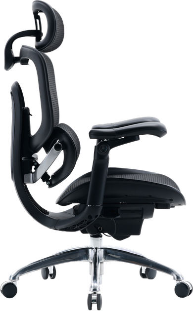Fotel biurowy ergonomiczny Sihoo DORO C300 PRO V2 Czarny (4820216980141) - Zdjęcie 3 Fotel biurowy ergonomiczny Sihoo DORO C300 PRO V2 Czarny (4820216980141) - obraz 3