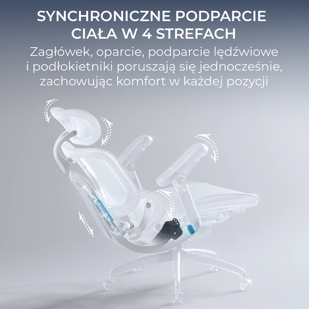 Fotel biurowy ergonomiczny Sihoo DORO C300 PRO V2 Czarny (4820216980141) - Zdjęcie 10 Fotel biurowy ergonomiczny Sihoo DORO C300 PRO V2 Czarny (4820216980141) - obraz 10