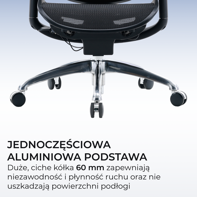 Fotel biurowy ergonomiczny Sihoo DORO C300 PRO V2 Czarny (4820216980141) - Zdjęcie 13 Fotel biurowy ergonomiczny Sihoo DORO C300 PRO V2 Czarny (4820216980141) - obraz 13