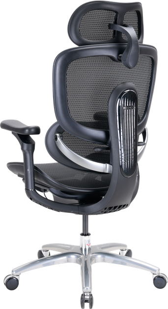 Fotel biurowy ergonomiczny Sihoo DORO C300 LITE V2 Czarny (4820216980103) - Zdjęcie 5 Fotel biurowy ergonomiczny Sihoo DORO C300 LITE V2 Czarny (4820216980103) - obraz 5