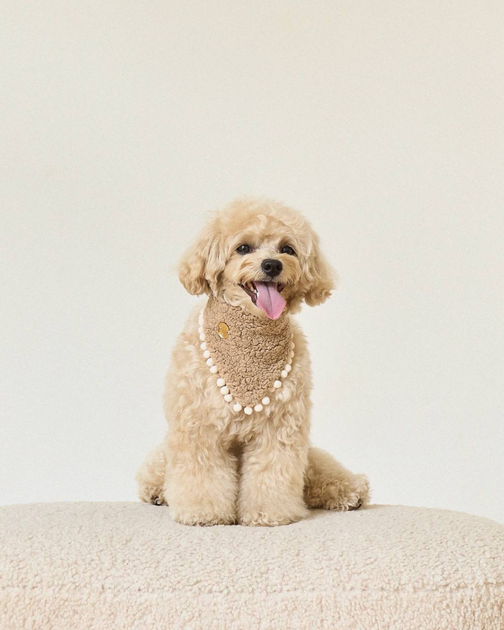 Бандана для собаки бежевая с помпонами “Teddy” Feel with Fill, размер One size - Фото 2 Бандана для собаки бежевая с помпонами “Teddy” Feel with Fill, размер One size - изображение 2
