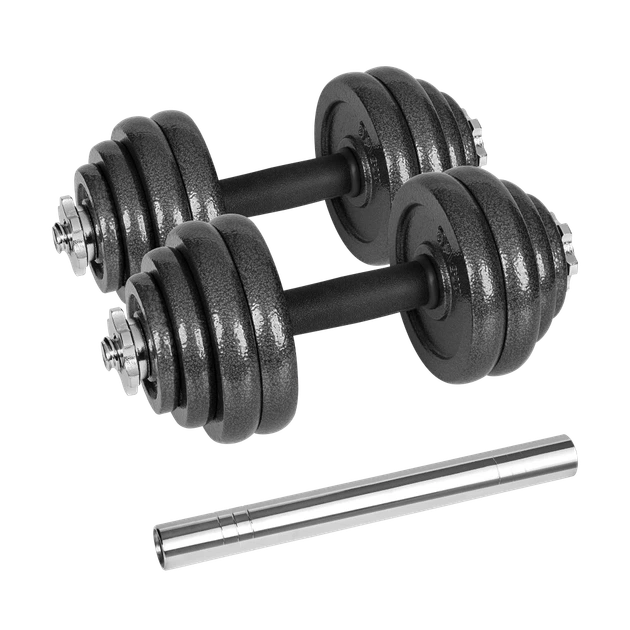 Гантели чугунные регулируемые REBEL ACTIVE 30 кг с чемоданом и грифом - Фото 1 Гантели чугунные регулируемые REBEL ACTIVE 30 кг с чемоданом и грифом - изображение 1