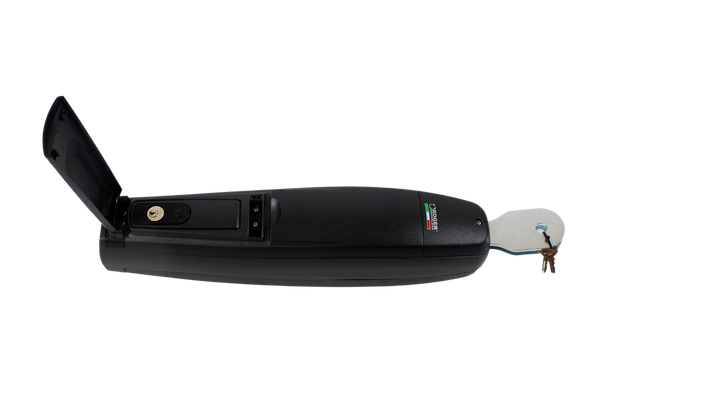 Автоматика распашная Roger Technology SMARTY5 «Brushless» - изображение 3