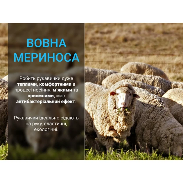 Водонепроникні рукавички Dexshell 43% мериносова вовна S темний камуфляж - зображення 5