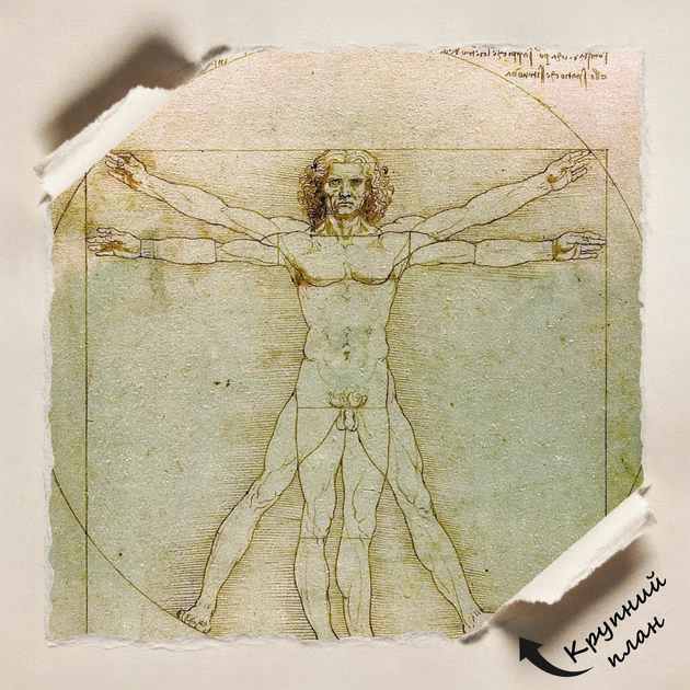 Інтер'єрна картина Вітрувіанська людина, Леонардо да Вінчі, Leonardo da Vinci, Vitruvian Man, інтер'єрний декор, 42×30 см (id6952) - зображення 5