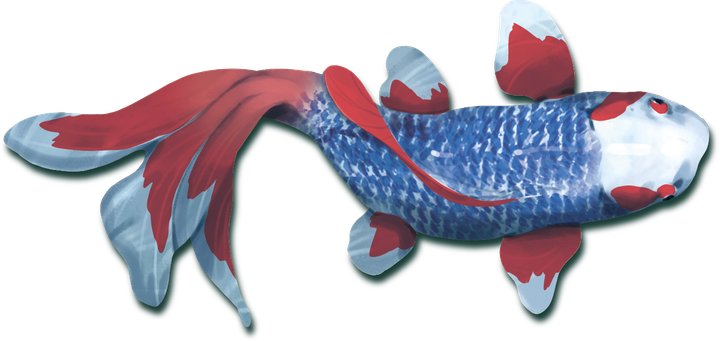 Gra planszowa Rebel Koi (wydanie polskie) (5906954791290) - obraz 8