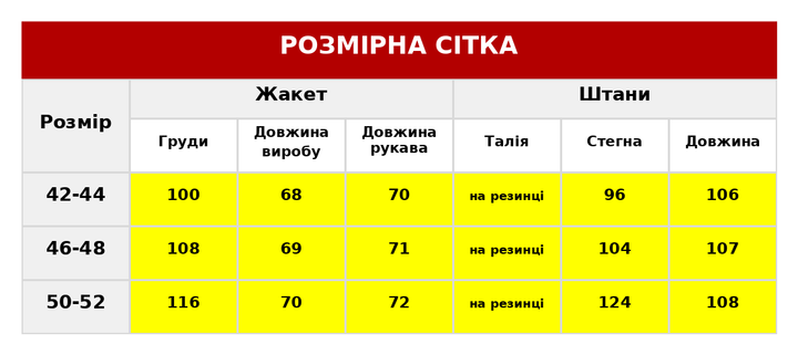 Жіночий костюм жакет та штани костюмка класичний прямого крою 42/44, Сірий (IM_490_02) - зображення 3