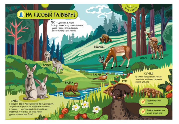 Велика ігрова енциклопедія Тварини лісу Толмачова А. Ранок - Фото 2 Велика ігрова енциклопедія Тварини лісу Толмачова А. Ранок - зображення 2