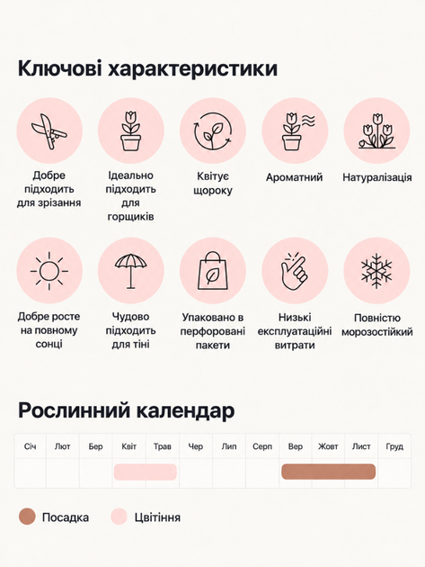 Нарцис My Story (2 шт. в пакованні) - зображення 5