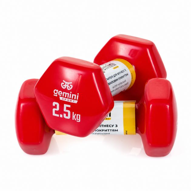 Гантели Gemini Sport для фитнеса с виниловым покрытием 2шт по 2.5кг GSD-2.5RED - Фото 1 Гантели Gemini Sport для фитнеса с виниловым покрытием 2шт по 2.5кг GSD-2.5RED - изображение 1