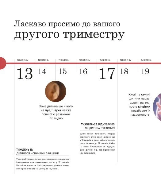Книга Вагітність день за днем. Меггі Блотт - изображение 7