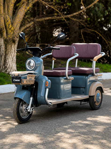 Електричний трицикл Corso Tenso TG-707841 1500W Графеновий АКБ Chilwee 72V 32Ah до 350 кг електротрицикл - изображение 2