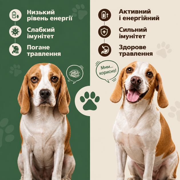 Добавка для поддержки иммунитета собак Petcarex – грибной порошок из 11 видов грибов для поддержки пищеварения, общего самочувствия и жизненного тонуса, трутовик разноцветный, рейши, ежовик гребенчатый, вкус бекона, 60 г, 60 порций - изображение 5