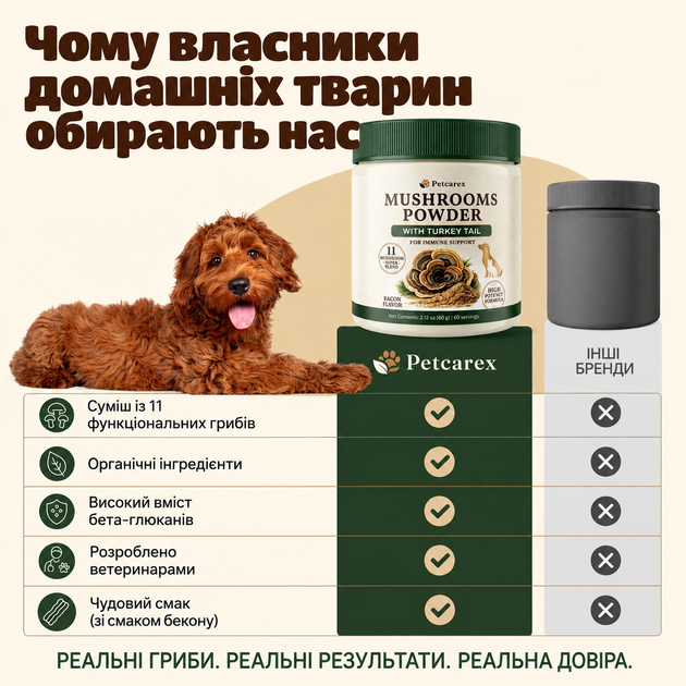 Добавка для поддержки иммунитета собак Petcarex – грибной порошок из 11 видов грибов для поддержки пищеварения, общего самочувствия и жизненного тонуса, трутовик разноцветный, рейши, ежовик гребенчатый, вкус бекона, 60 г, 60 порций - изображение 9