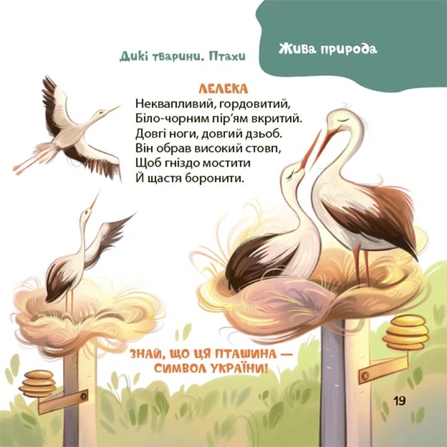 Книга Віршенята-загадки для малят. 3–5 років. Юлія Пеліхова - Фото 8 Книга Віршенята-загадки для малят. 3–5 років. Юлія Пеліхова - зображення 8
