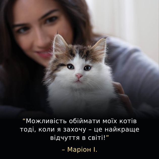 Сухой полнорационный корм для котят Purina Pro Plan LiveClear для уменьшения аллергенов на шерсти с индейкой 1.4 кг (7613287232526) - Фото 12 Сухой полнорационный корм для котят Purina Pro Plan LiveClear для уменьшения аллергенов на шерсти с индейкой 1.4 кг (7613287232526) - изображение 12