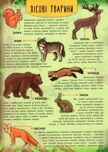 Книга Енциклопедія з наліпками. Лісові тварини та рослини. Катерина Смірнова - Фото 3 Книга Енциклопедія з наліпками. Лісові тварини та рослини. Катерина Смірнова - изображение 3