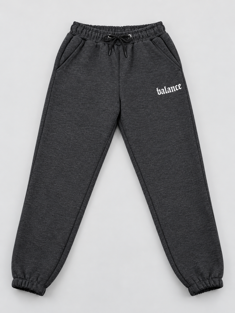Зимние теплые мужские спортивные штаны серые с начесом Balance (450362) 2XL - изображение 3