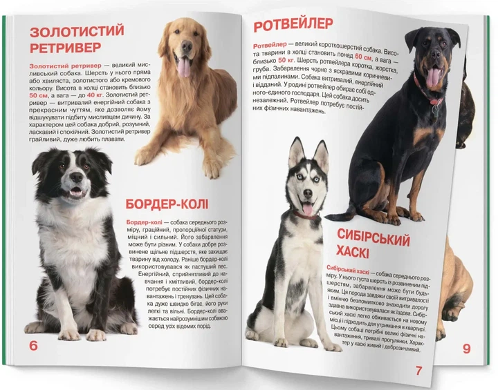 Книга Велика книжка. Собаки. Олег Зав'язкин - Фото 2 Книга Велика книжка. Собаки. Олег Зав'язкин - изображение 2