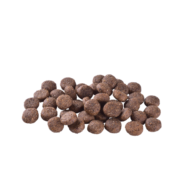 Сухий корм Brit Care Dog Grain-free Adult для собак малих і середніх порід, беззерновий з лососем, 1 кг - Фото 2 Сухий корм Brit Care Dog Grain-free Adult для собак малих і середніх порід, беззерновий з лососем, 1 кг - зображення 2