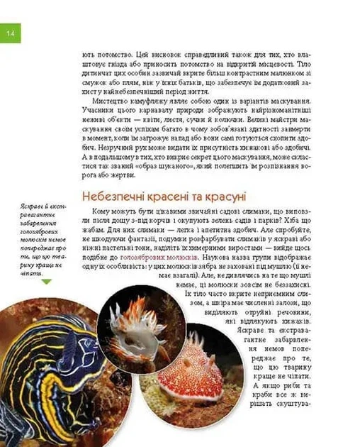 Книга Тварини - майстри маскування. Енциклопедія для допитливих. Андрій Гапченко - Фото 4 Книга Тварини - майстри маскування. Енциклопедія для допитливих. Андрій Гапченко - изображение 4