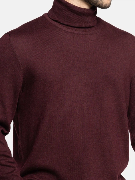 Водолазка чоловіча Arber бордова з мериносовою вовною Roll-neck FF N-AVT142 XXL зріст 5 бордовий (M10.77.18.632) - Фото 5 Водолазка чоловіча Arber бордова з мериносовою вовною Roll-neck FF N-AVT142 XXL зріст 5 бордовий (M10.77.18.632) - зображення 5