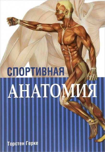 Книга Спортивная анатомия - Герке Торстен (на русском языке ...