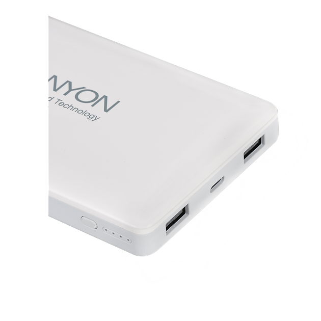 Універсальна мобільна батарея Canyon 15000mAh White (CNS-TPBP15W) - зображення 3