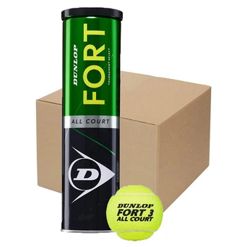 Теннисный мяч Dunlop Fort Аll Court TS 4 Ball