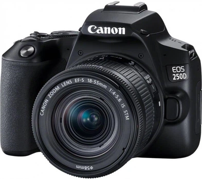 Зеркальная фотокамера Canon EOS 250D + объектив 18-55 IS Black (3454C007AA) (официальная гарантия)