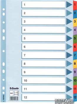 Картонные разделители Esselte Mylar А4 1-12 (100162)