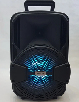 Активная Bluetooth колонка Ailiang LiGE-X8 Black