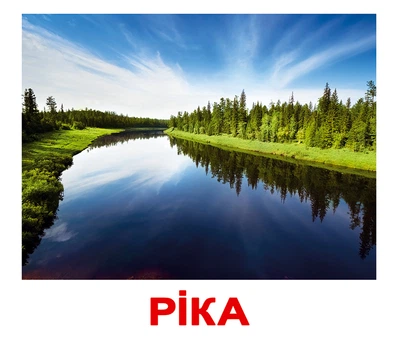 Картки великі українські з фактами «Природа»(091568)