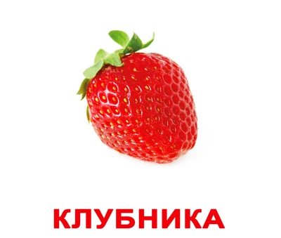 Карточки большие русские с фактами, ламинированные «Ягоды» 145315