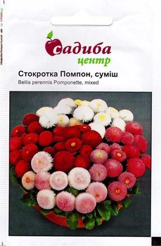 Насіння маргаритки Стокротка Помпон суміш 0,05 г, Нім Zaden