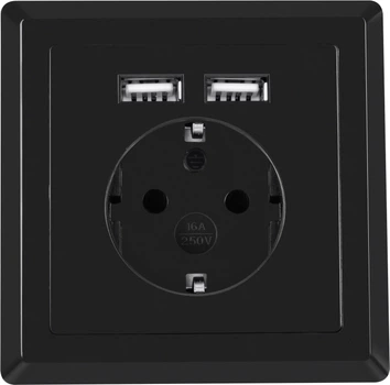 Lanberg Schuko Socket 2 Port USB 2.1A Czarny (AC-WS01-USB2-FB)