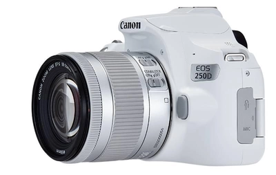 Фотоаппарат Canon EOS 250D 18-55 IS White (3458C003AA) Официальная гарантия!