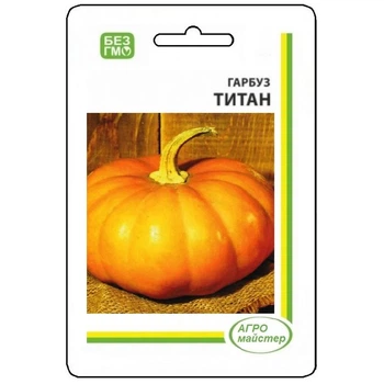 Насіння Гарбуза Титан 15 г Агро Майстер (НФ-00003098)