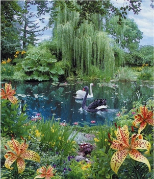 Фотообои Лебединое танго бумага ArtDecor 201x242 см