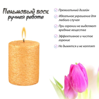 Набор свечей из пальмового воска Сandlesbio Silk Золотой 5.5х7 см 6 штук (SG 55/70)