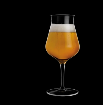 Набор бокалов Luigi Bormioli Birrateque для пива 420 мл 2 шт (11808/01)