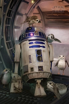 Постер плакат "Зоряні Війни: Останні Джедаї (R2-D2 і Поргі)" 61x91.5см Pyramid International (ps-00225)