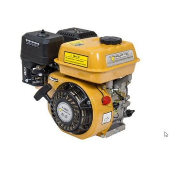 Двигатель Forte F200G
