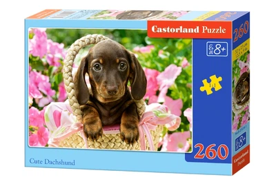 Пазлы Castorland Такса, 260 элементов, 32x23 см, B-27514