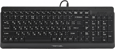 Клавіатура дротова A4Tech FK15 USB Black (4711421957861)