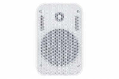 Настенная акустика SKY SOUND PM-2401W/TW (sky-3912297)